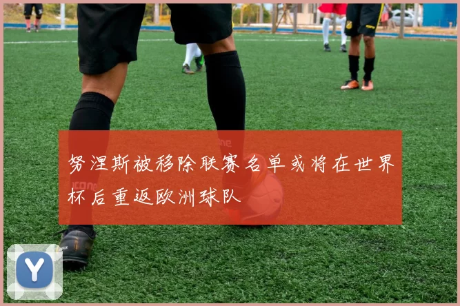努涅斯被移除联赛名单或将在世界杯后重返欧洲球队